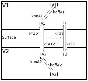 1solComp2 pic1