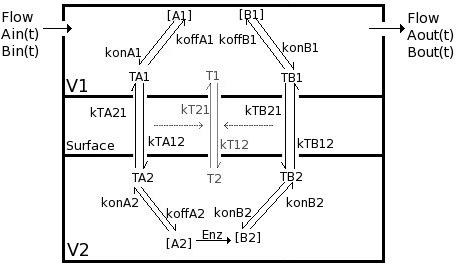 2solComp2F fig1