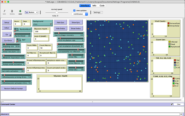 Bat - Human Comparative Model in NetLogo