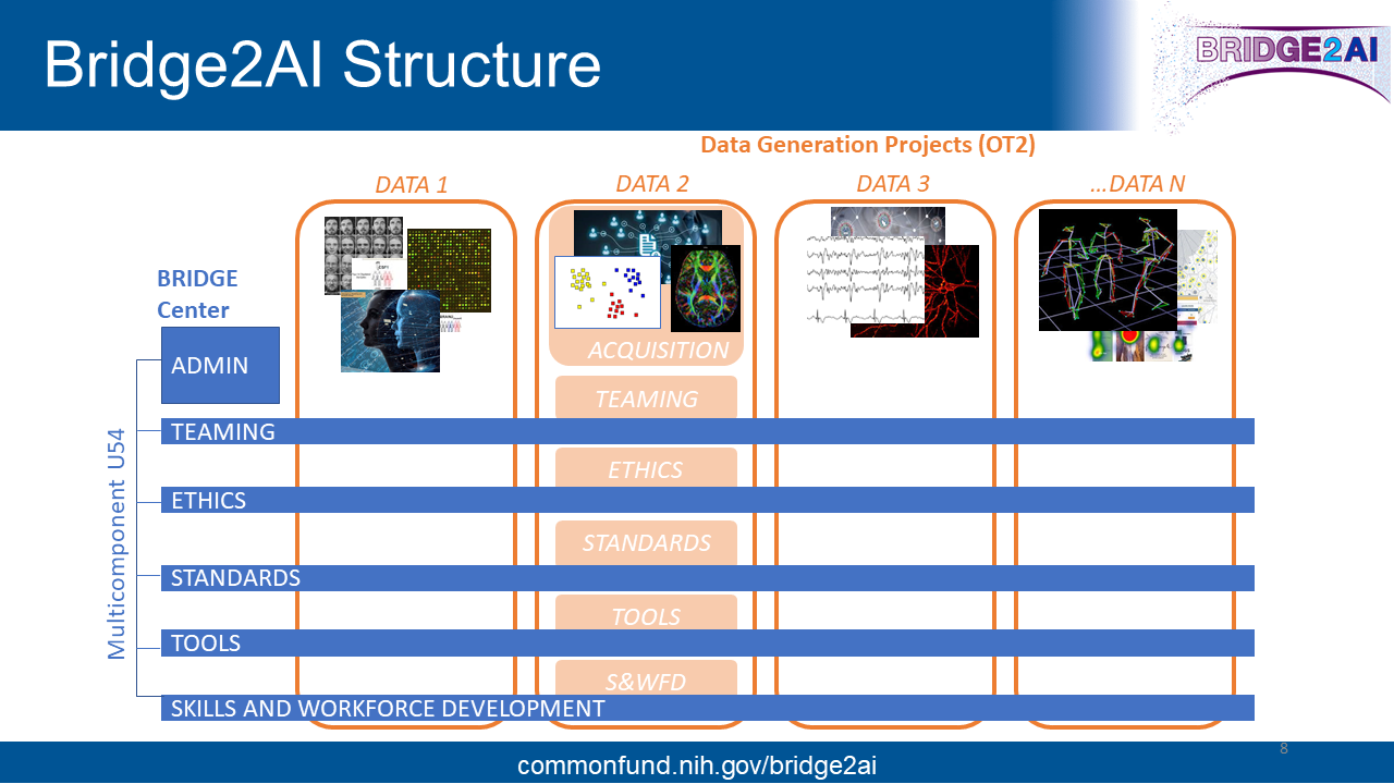The structure of Bridge2AI and it's funding mechanisms