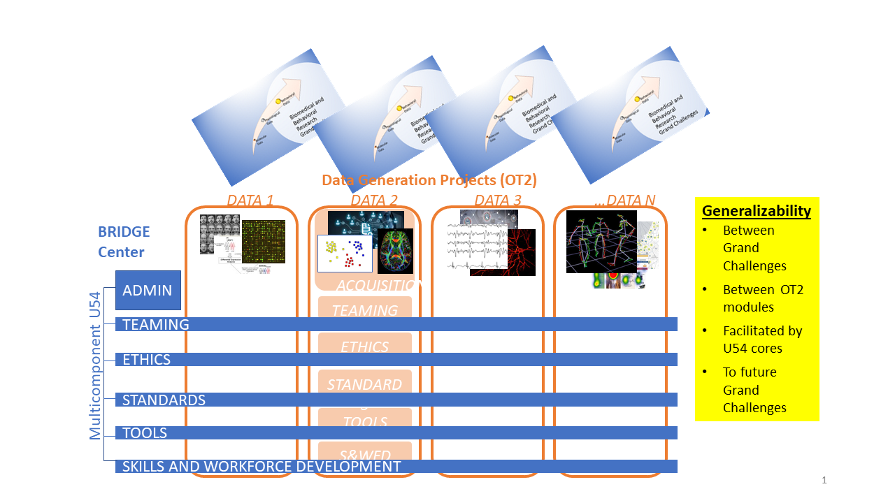 Structure of the Bridge2AI program