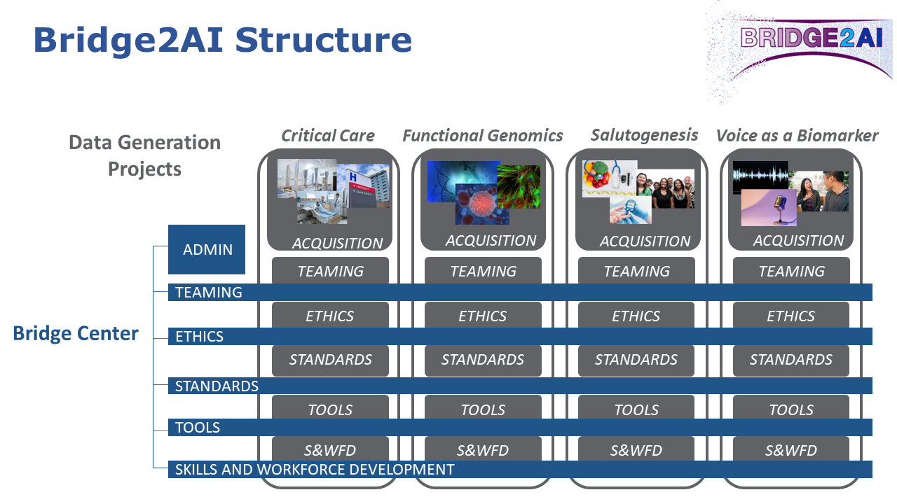 Structure of the Bridge2AI Program