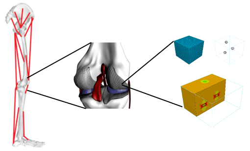 picture of Fea multiscale