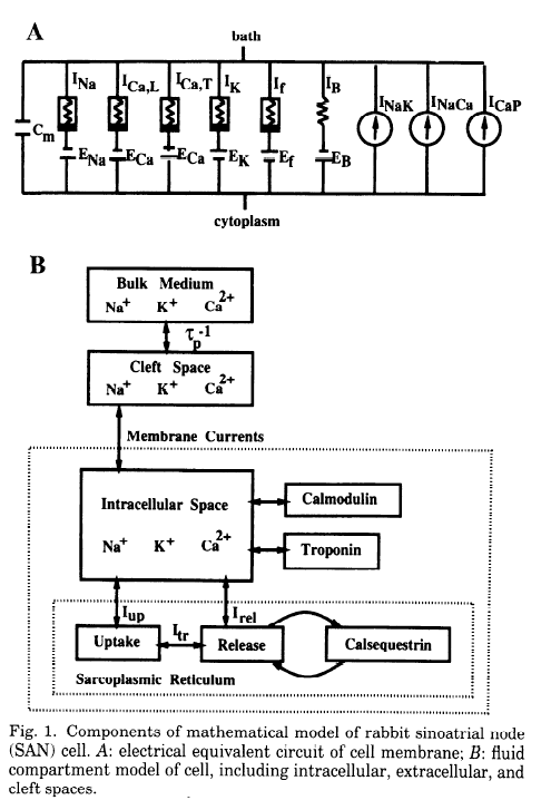 fig1