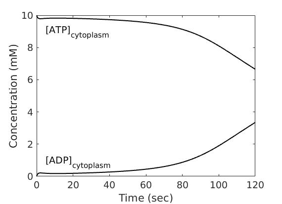 fig2