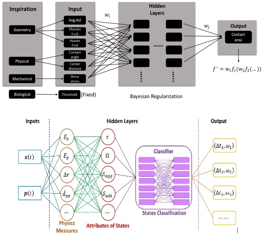 Fig 4: (A) Neural network for predicting contact area during aggregation (upper). (B) MSM adaptive time stepping (ATS) deep learning framework (lower).