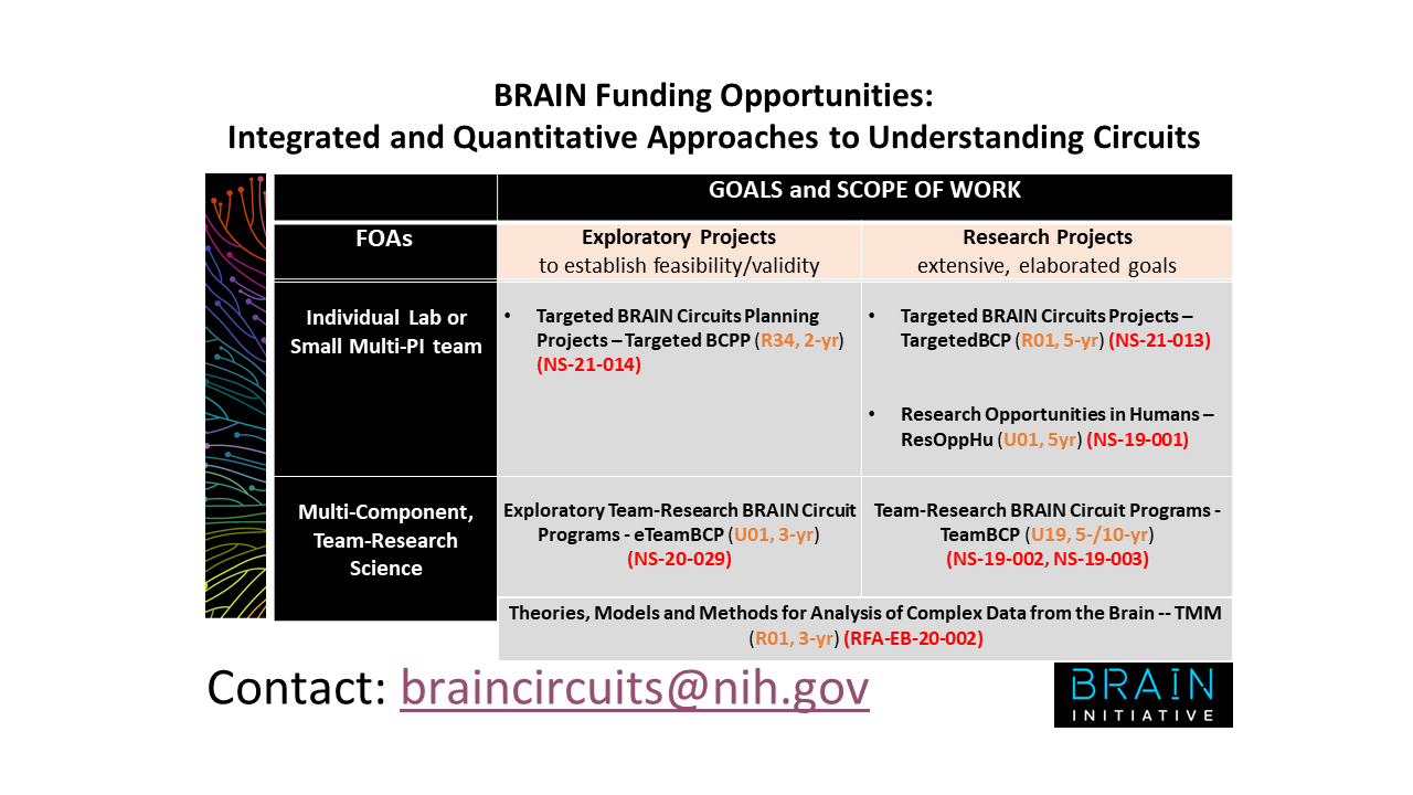 BRAIN funding opportunities