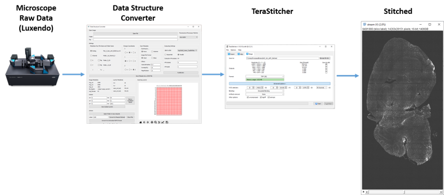 Data Structure Converter: Luxendo to TeraStitcher