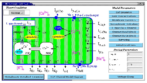 fig1