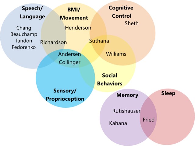 ROH Brain Circuit Domains of Study