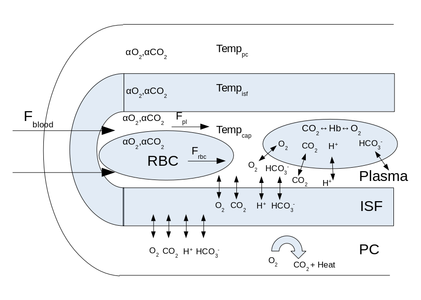 fig2