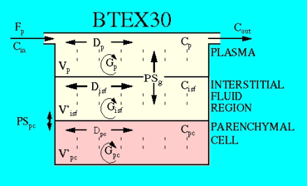 BTEX30 diagram