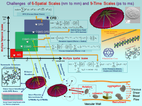 Multiple Scales of Platelet Modeling