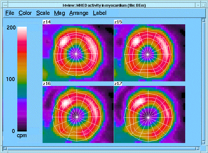 Iv fig1