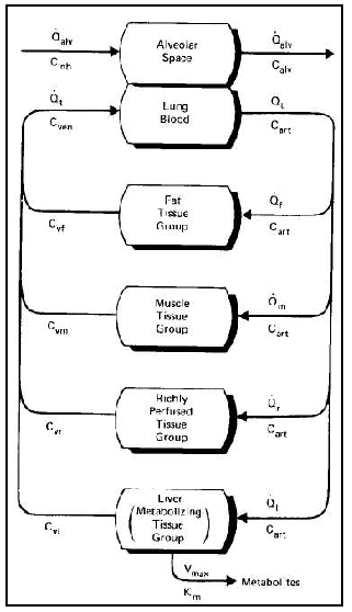 fig2