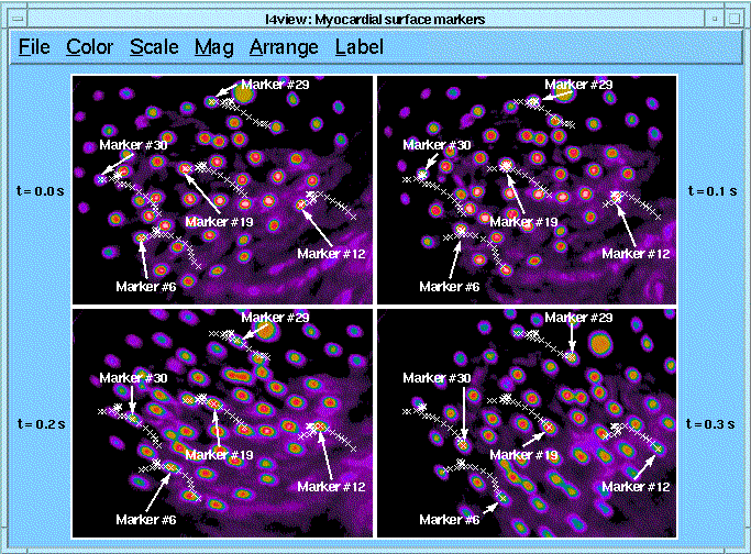 trax fig3